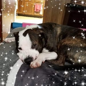 Meet your Posher, Kathy